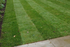 437122357_945660264235630_3104831260925329261_n