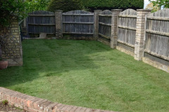 441160470_965685892233067_2086582017648583656_n