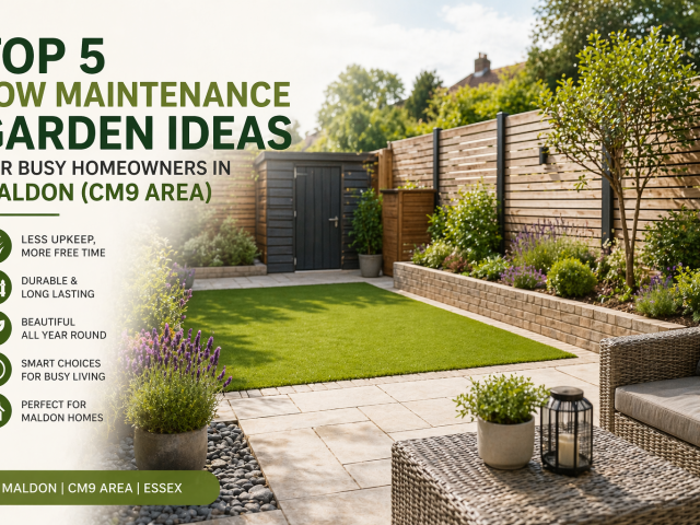 Top 5 Low Maintenance Garden Ideas for Busy Homeowners in Maldon (CM9 Area)