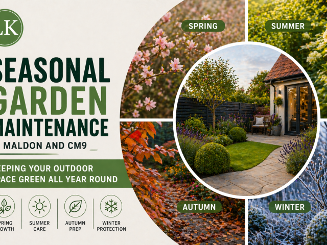 Seasonal Garden Maintenance in Maldon and CM9: Keeping Your Outdoor Space Green All Year Round